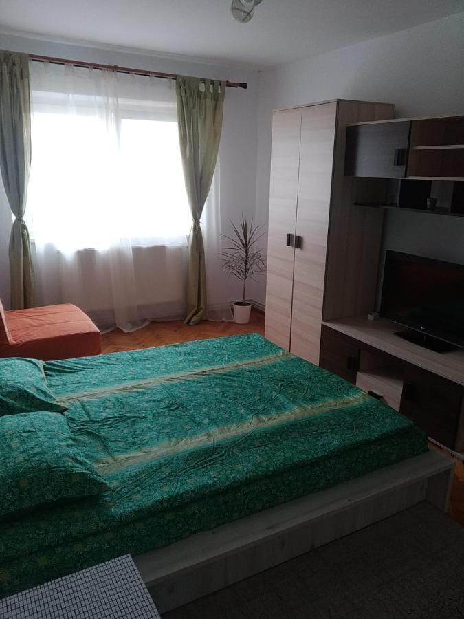 Apartament Erik Apartman Nagyszeben Kültér fotó